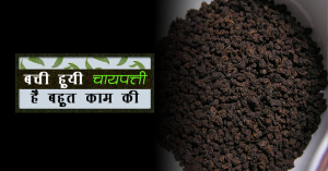 _225_चायपत्ती (1)