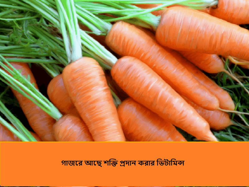 গাজর