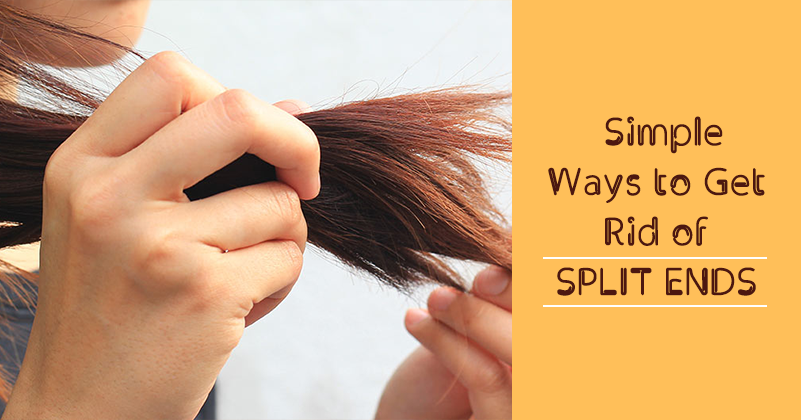 Jawed Habib's Tips to get Rid of Split Ends! : BetterButter Blog: Indian  Food Recipes, Health & Wellness Tips