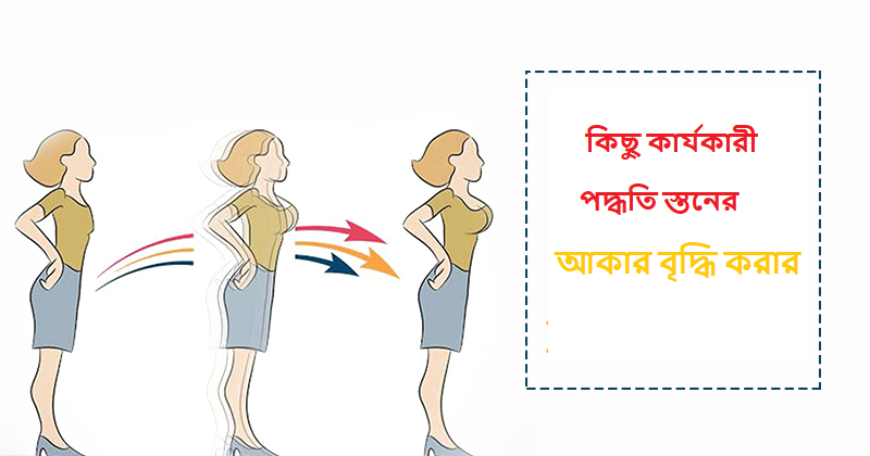 breast - Bengali Meaning - breast Meaning in Bengali at english
