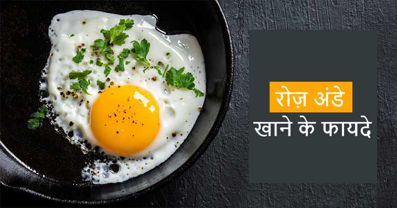 10 Reasons Why You Should Eat Eggs Daily: अंडा खाने के 10 फायदे!