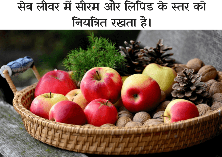 liver for apple