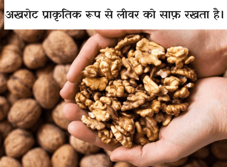 liver for walnut
