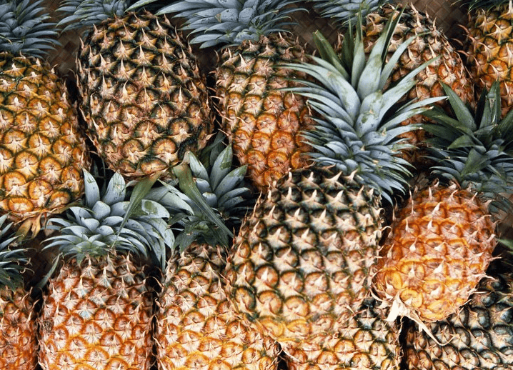 6 Foods Soothe Arthritis Pain in Hindi