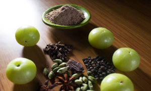 आँवले के औषधीय गुण (Benefits of Amla in Hindi)
