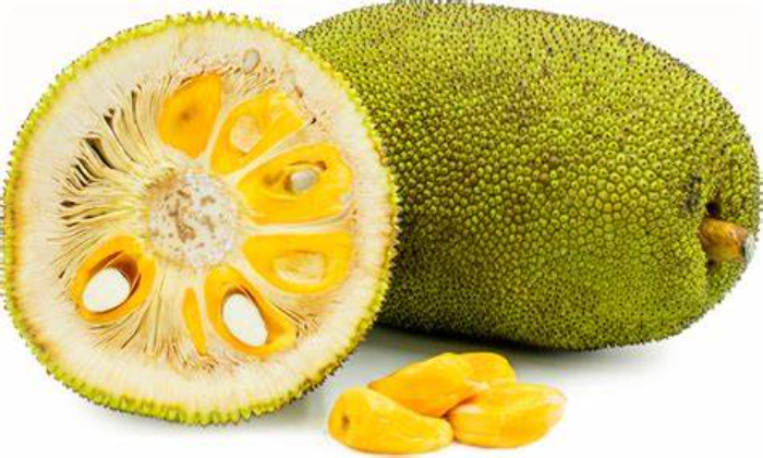 Jackfruit