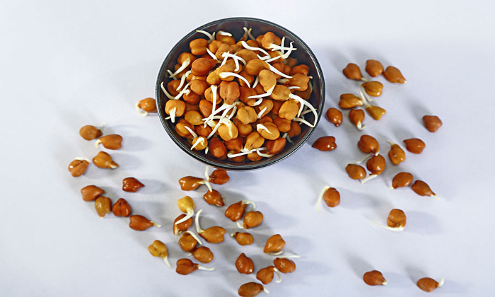 Chana Benefits in Hindi