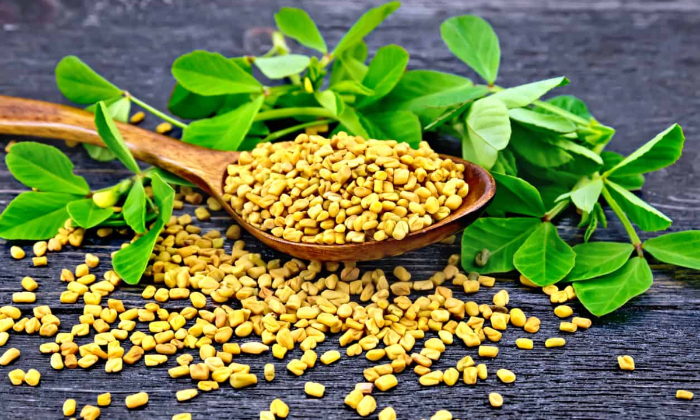 Fenugreek Wp (1)