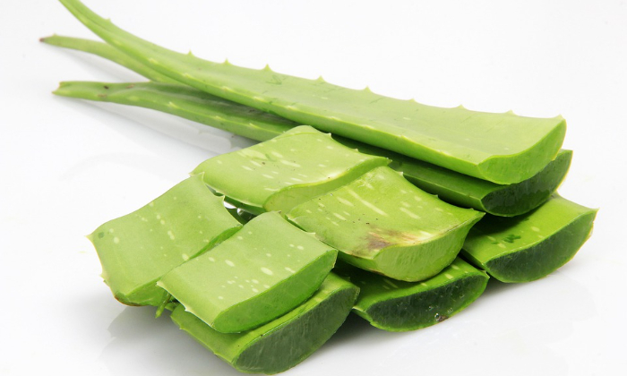aloe vera benefits