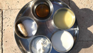 Charnamrita for Guru Purnima