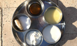 Guru Purnima Panchamrit