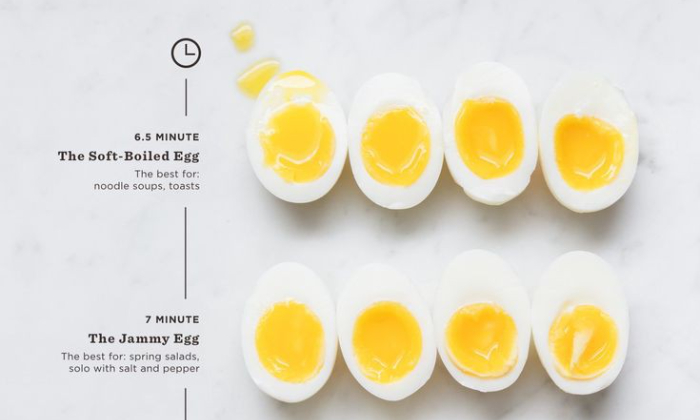 Egg Boil Wp