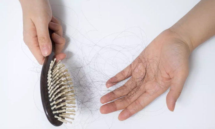 Hairfall Wp