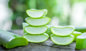 एलोवेरा के फायदे (aloe vera benefits in hindi)