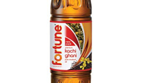 Fortune Kachi Ghani