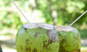 Nariyal Paani ke fayde