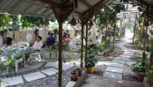 Three Pines Cafe