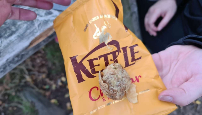 Potato Chips Feature