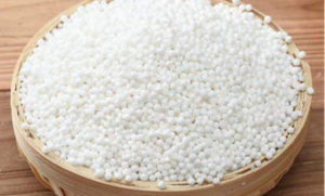 Sabudana (1)