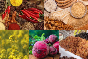 Winter Superfoods