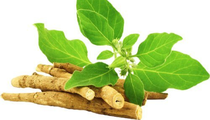 Ashwagandha (1)