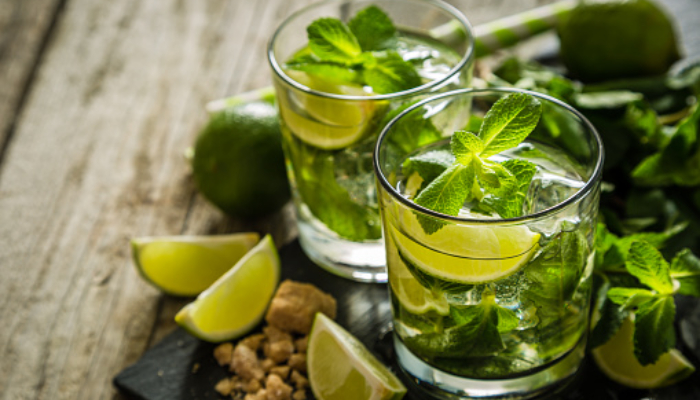 Mojito Cocktail - Winter Cocktails