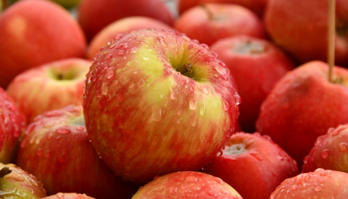 सेब (Apple) - Winter Season Fruits