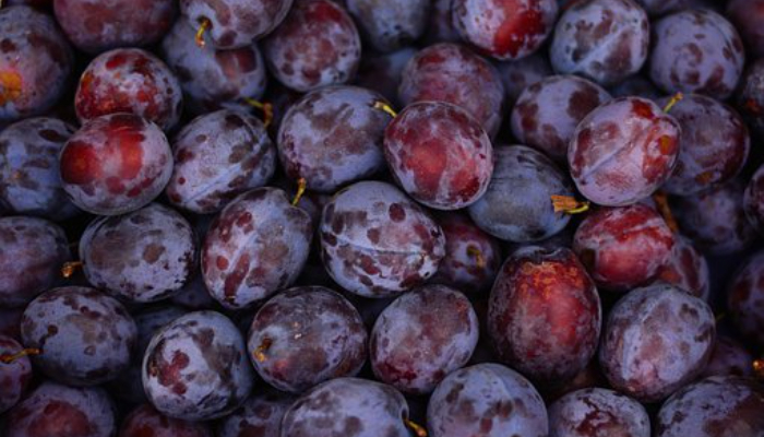 प्लम (Plum fruit)