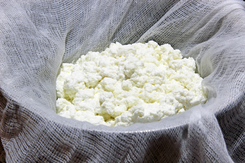Homemade Paneer Nutrition