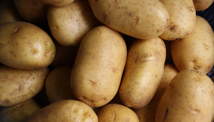 Potato (1)
