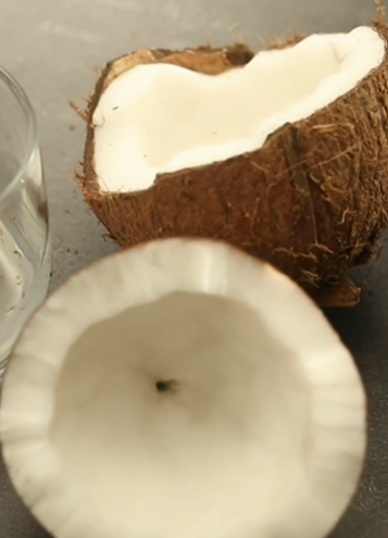 coconet kaise foden