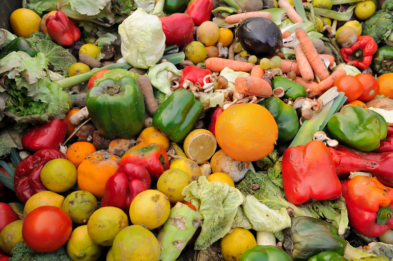 food waste india