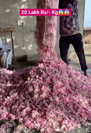 how to make rose water