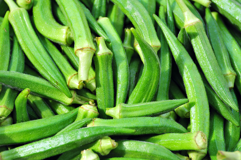 garmi mein bhindi khane ke fayde