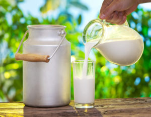 Milk Mein no Sugar
