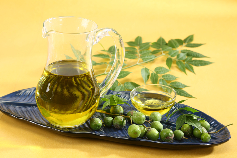 Neem Juice Benefits