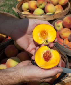 peach benefits