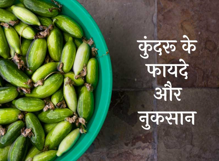 Kundru Ke Fayde or nuksan