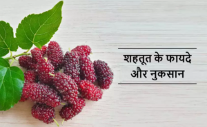 शहतूत के फायदे, उपयोग और नुकसान